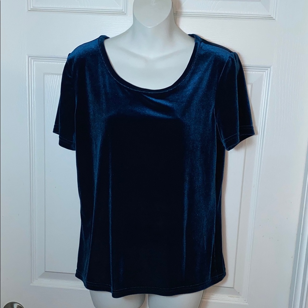 Jaclyn Smith Blue Velvet Short Sleeve Top Size Medium